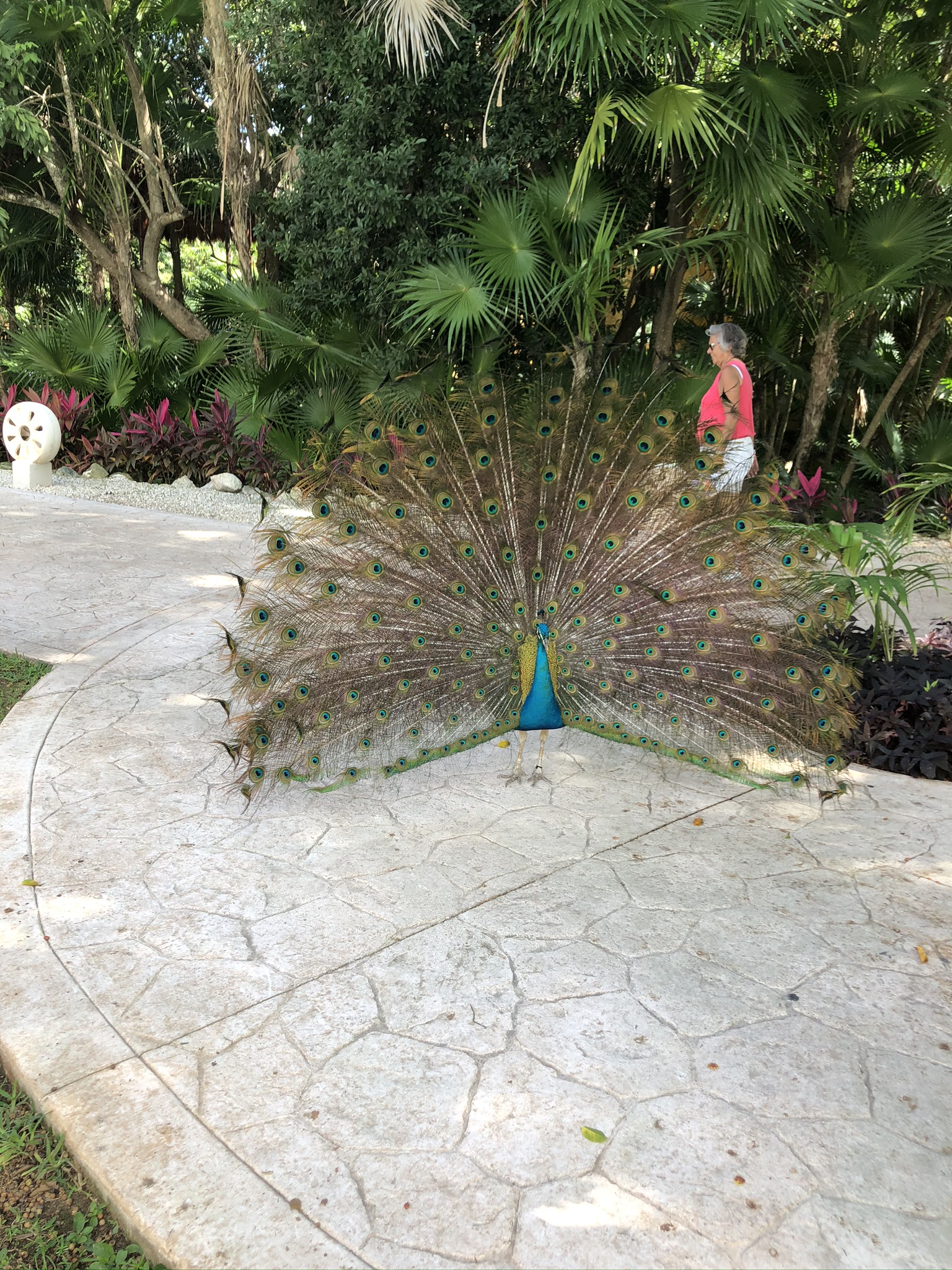 Mexico